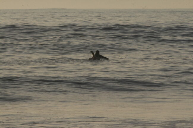 Trips Surf Kaouki Essaouira Morocco